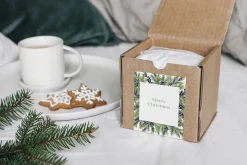 Christmas watercolor floral set