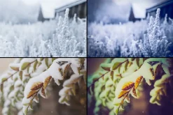 2500+ Christmas & Winter Overlays