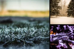 2500+ Christmas & Winter Overlays