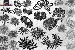 53 Chrysanthemums Stamp Brushes