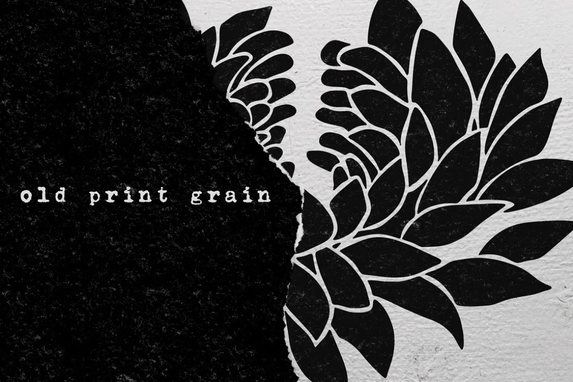 53 Chrysanthemums Stamp Brushes
