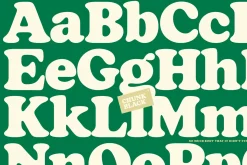 Chunk Black Retro Serif