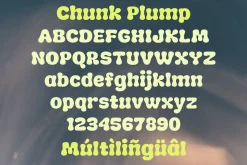 Chunk Plump - Groovy Chunky Font