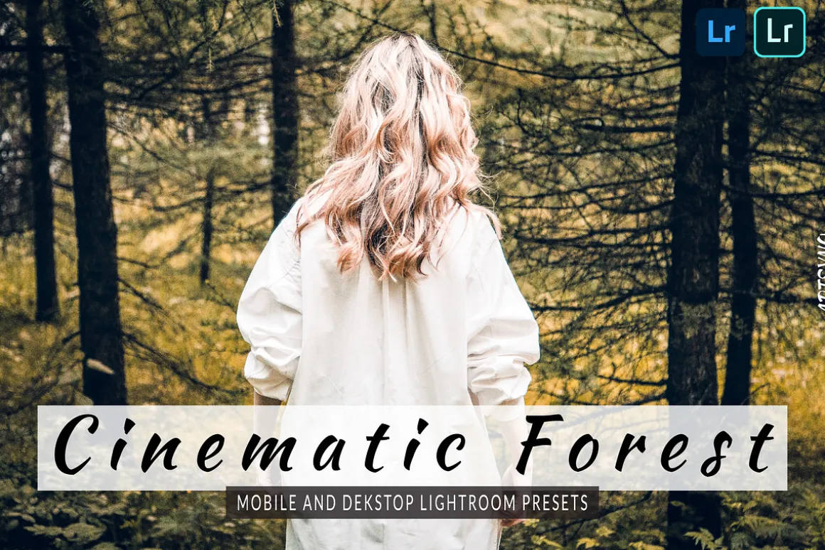 Cinematic Forest Lightroom Presets