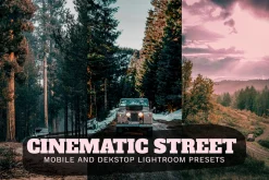 Cinematic Street Lightroom Presets
