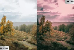 Cinematic Street Lightroom Presets
