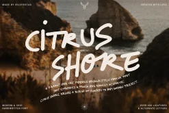Citrus Shore - Playful Marker Font