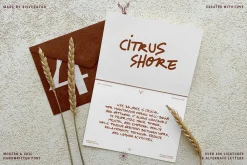 Citrus Shore - Playful Marker Font