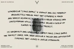Citrus Shore - Playful Marker Font