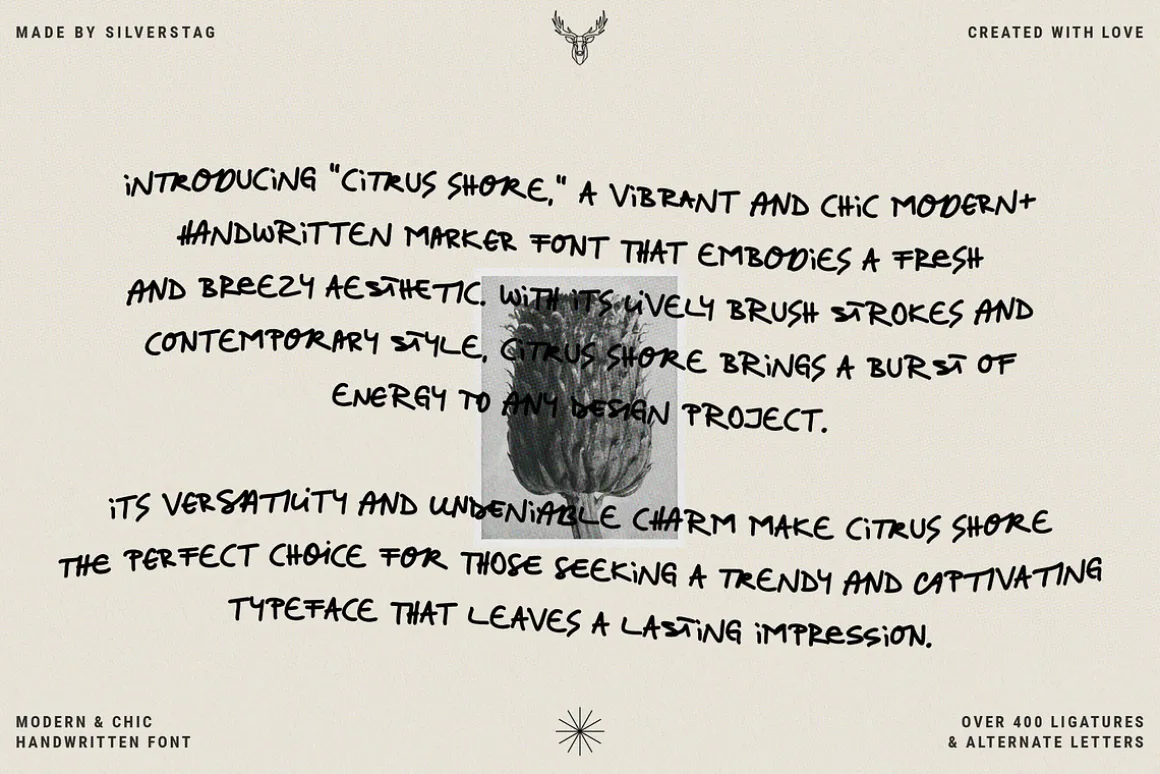 Citrus Shore - Playful Marker Font