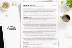 Classic ATS Resume Template Word/Mac