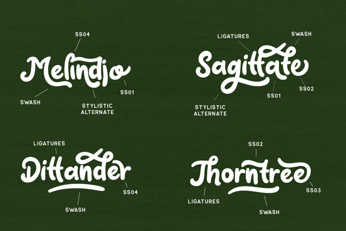 Claytonia Bold Script