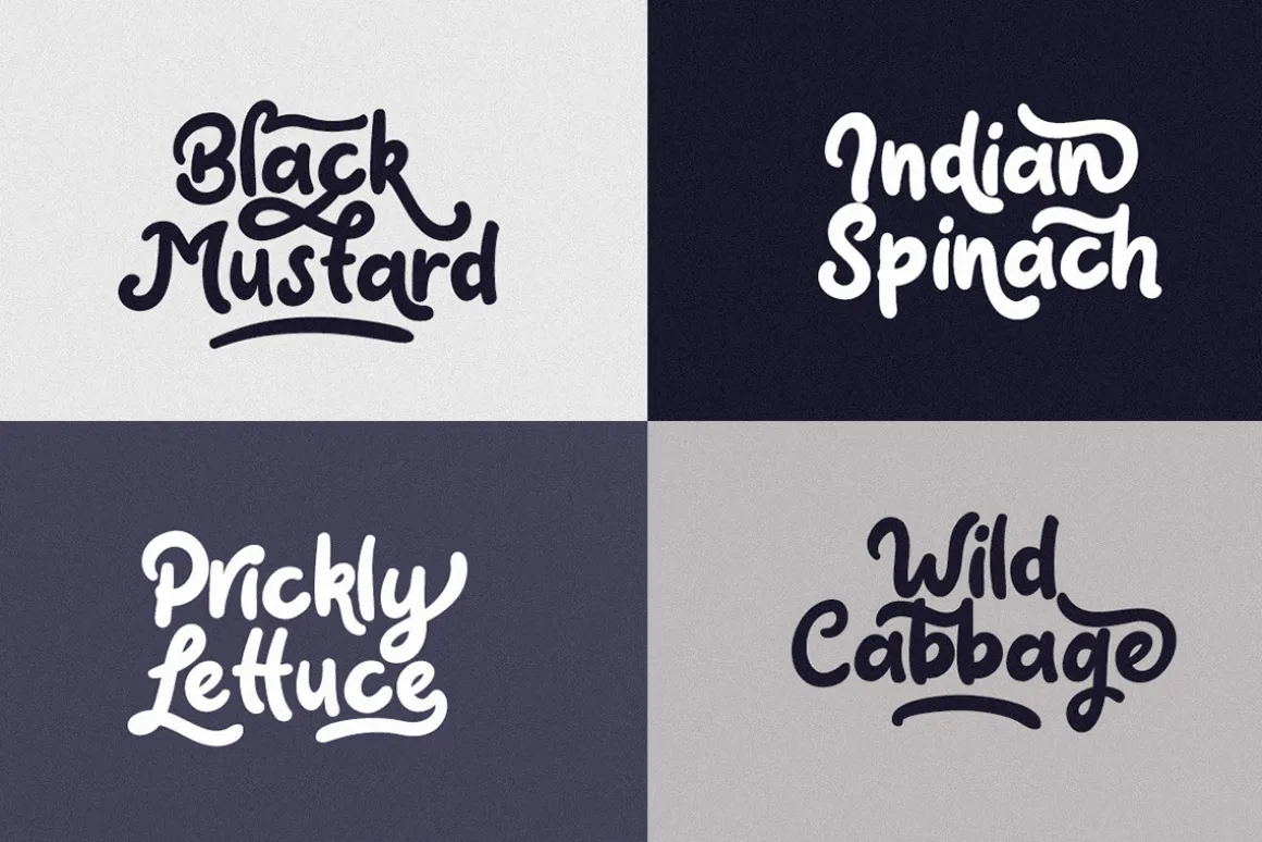 Claytonia Bold Script