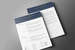 Clean Resume / CV