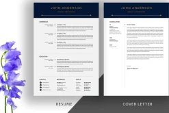 Clean Resume / CV