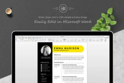 Clean & Modern Resume Template Word