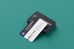 Clean Professional Business Card