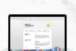 Clean Resume