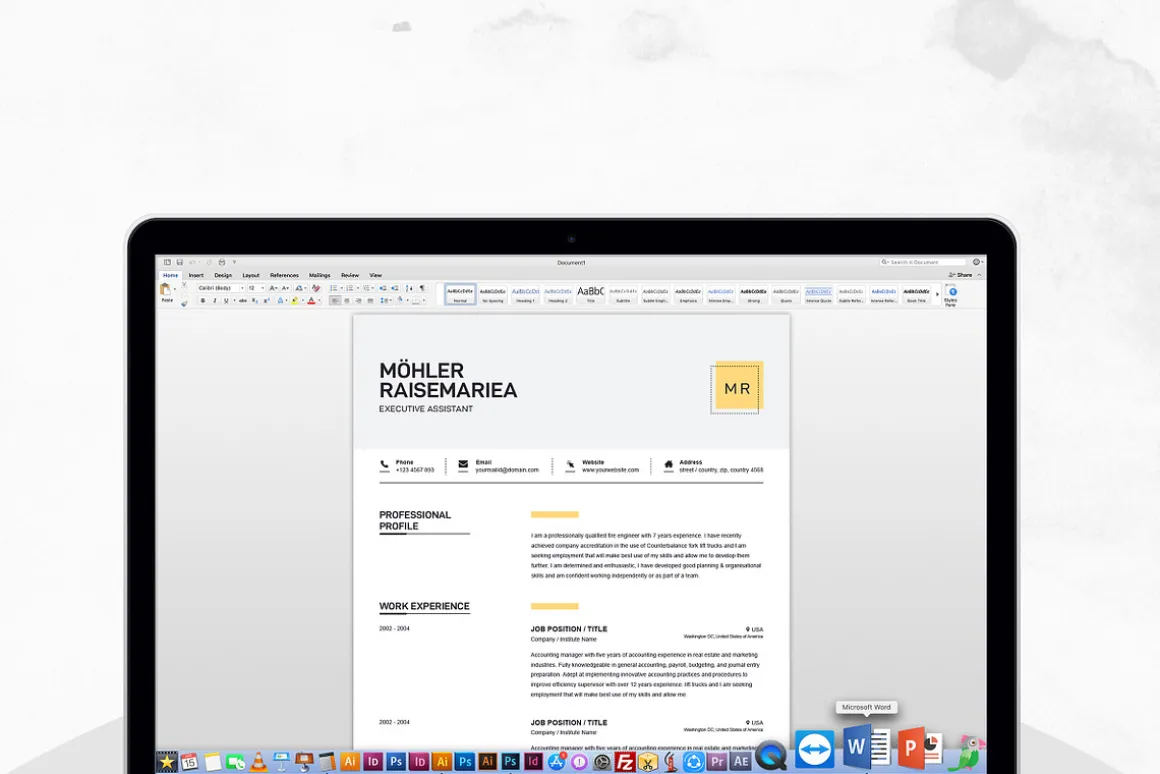 Clean Resume