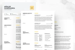 Clean Resume