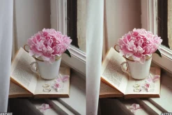 Clean White Lightroom Presets