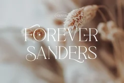 Clover Font Duo