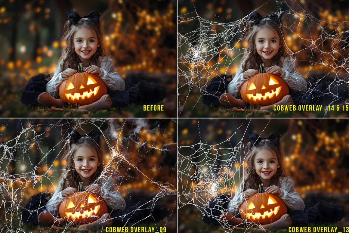 Cobweb PNG Overlay Halloween Clipart