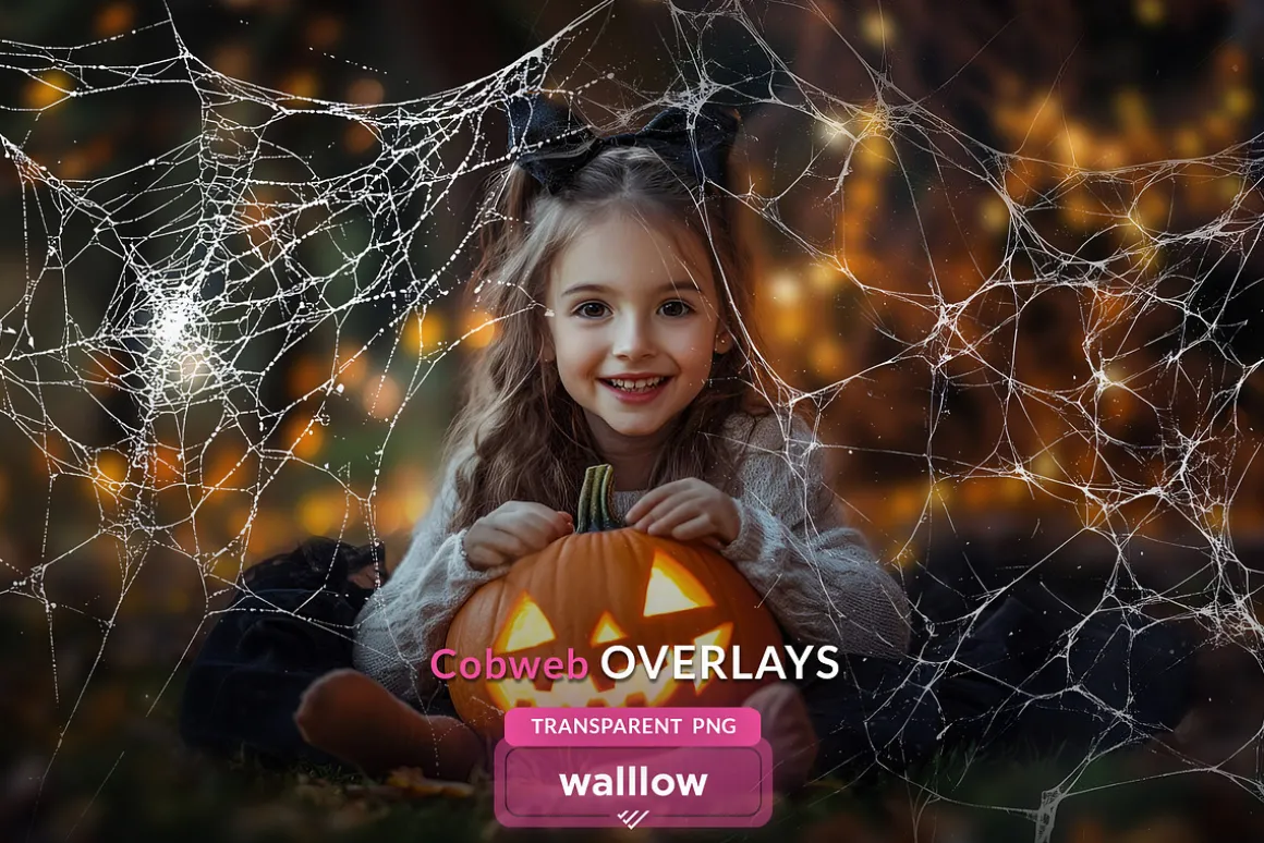 Cobweb PNG Overlay Halloween Clipart