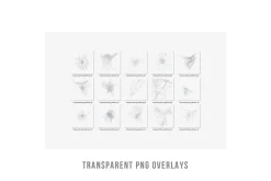 Cobweb PNG Overlay Halloween Clipart