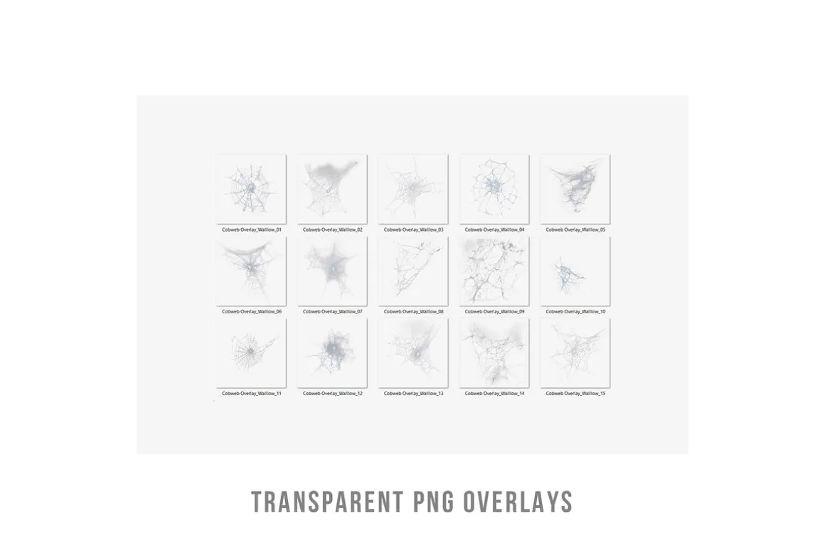Cobweb PNG Overlay Halloween Clipart