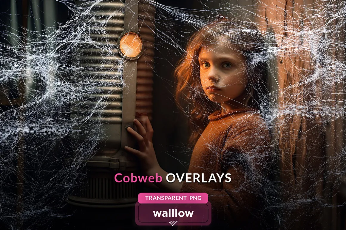 Cobweb PNG Overlay Halloween Clipart