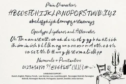Cocktails and Company Script