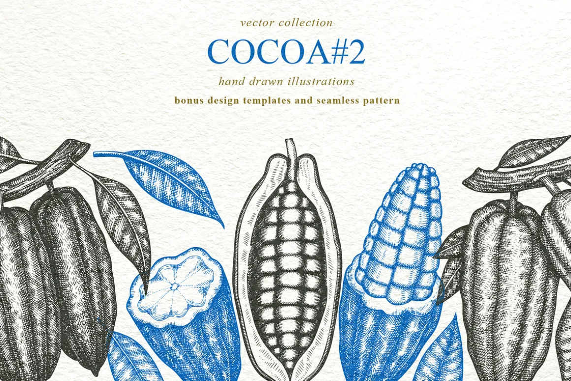 Cocoa Vector Collection#2