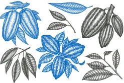 Cocoa Vector Collection#2