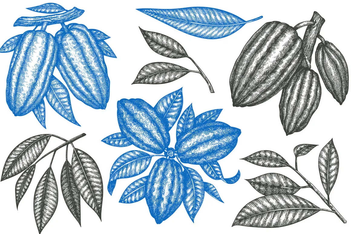 Cocoa Vector Collection#2
