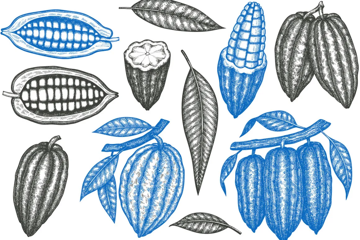 Cocoa Vector Collection#2