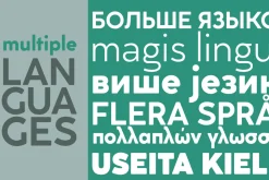 Cocogoose Classic - 16 fonts