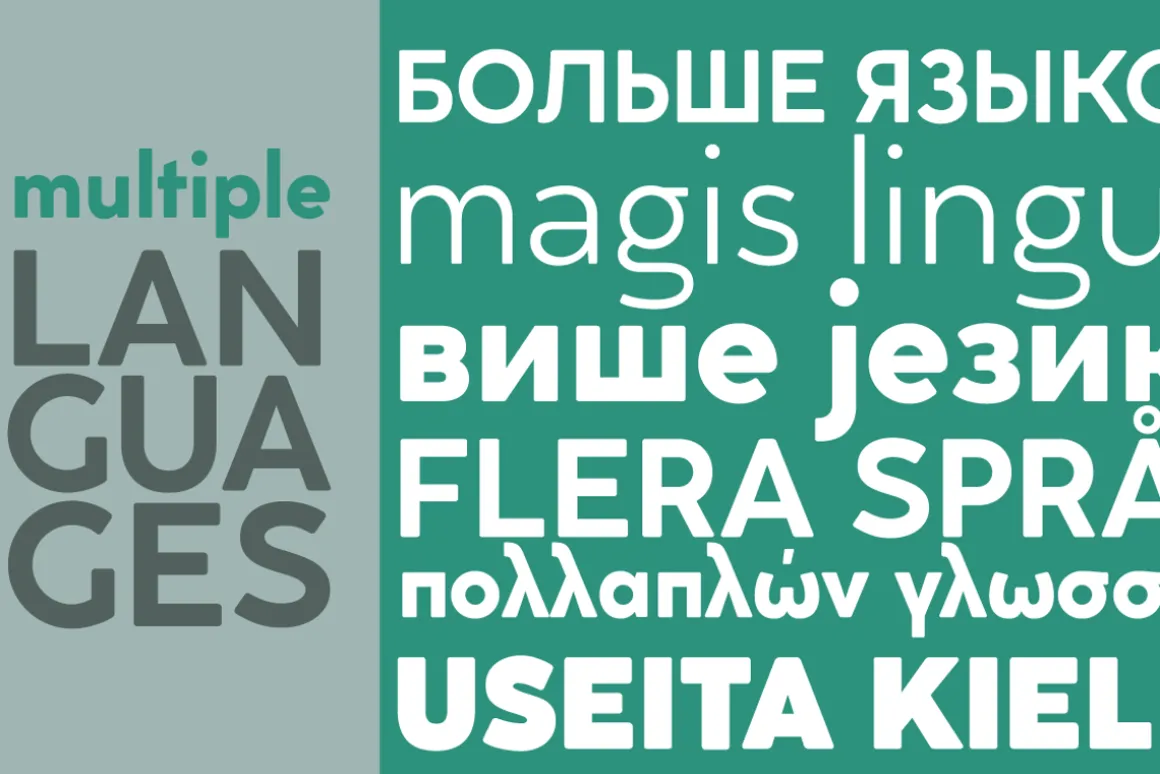 Cocogoose Classic - 16 fonts