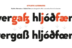 Cocogoose Classic - 16 fonts