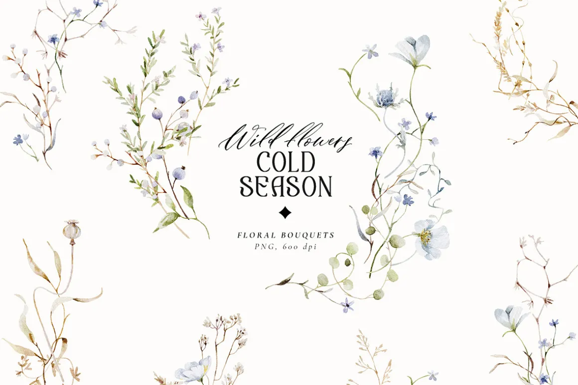 Cold season - watercolor wildflowers