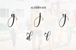 College | Script Font