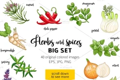 40 colored spices and herbs