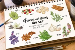 40 colored spices and herbs