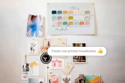 Color Palette Bundle for Procreate