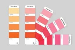 Color Palette Mockup Template
