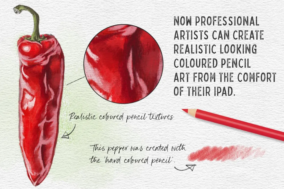 Coloured Pencil Artist - Procreate