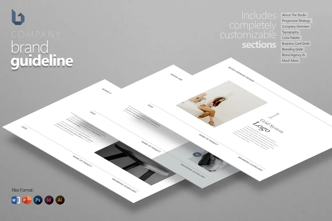 Company Brand Identity Guideline