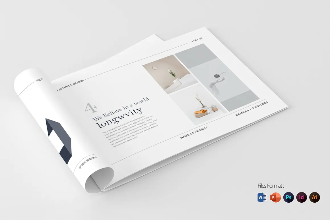 Company Brand Identity Guideline