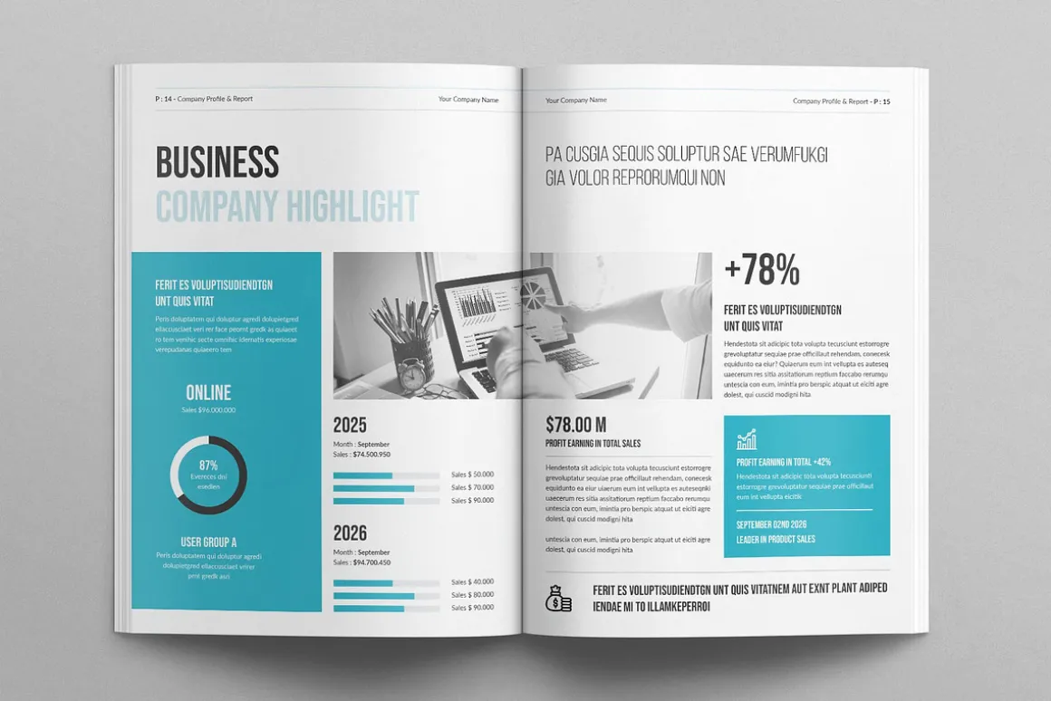 Company Profile & Report Template