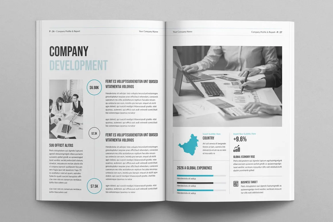 Company Profile & Report Template